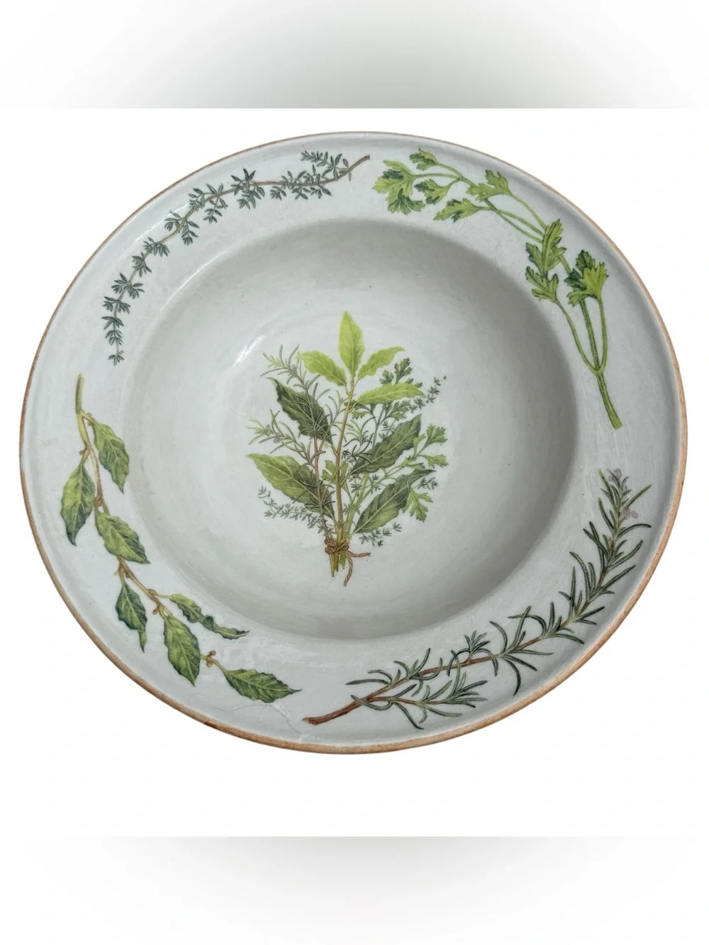 Vintage Williams Sonoma Italy Herb 15” Serving Pasta Bowl Discontinued RARE